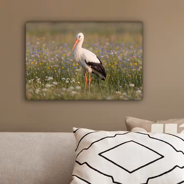 Ooienvaar - Bloemen - Weide - Kleurrijk canvas 2cm klein -sfeer3
