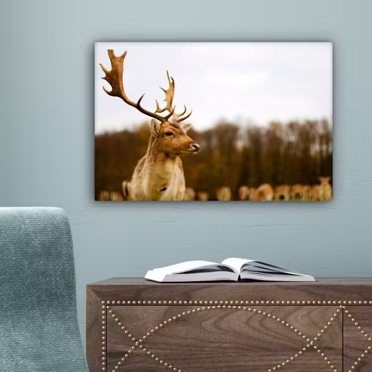 Damhert - Bos - Kudde - Dieren - Natuur canvas 2cm klein -sfeer4