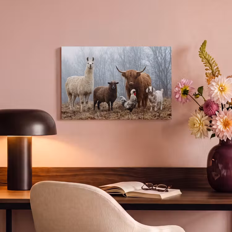 Boerderijdieren - Groep - Mist - Natuur - Rustiek canvas 2cm klein -sfeer4