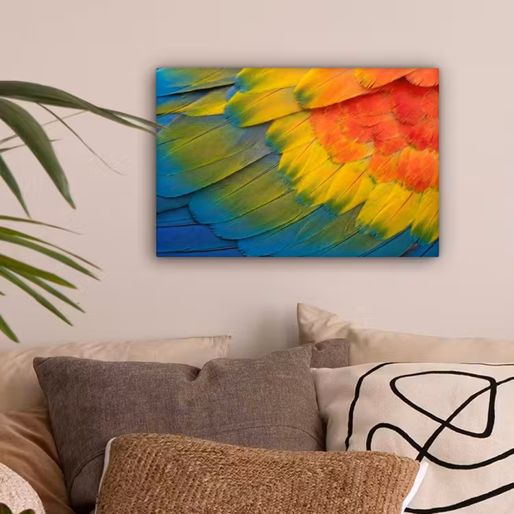 Veren - Ara - Kleurrijk canvas 2cm klein -sfeer1