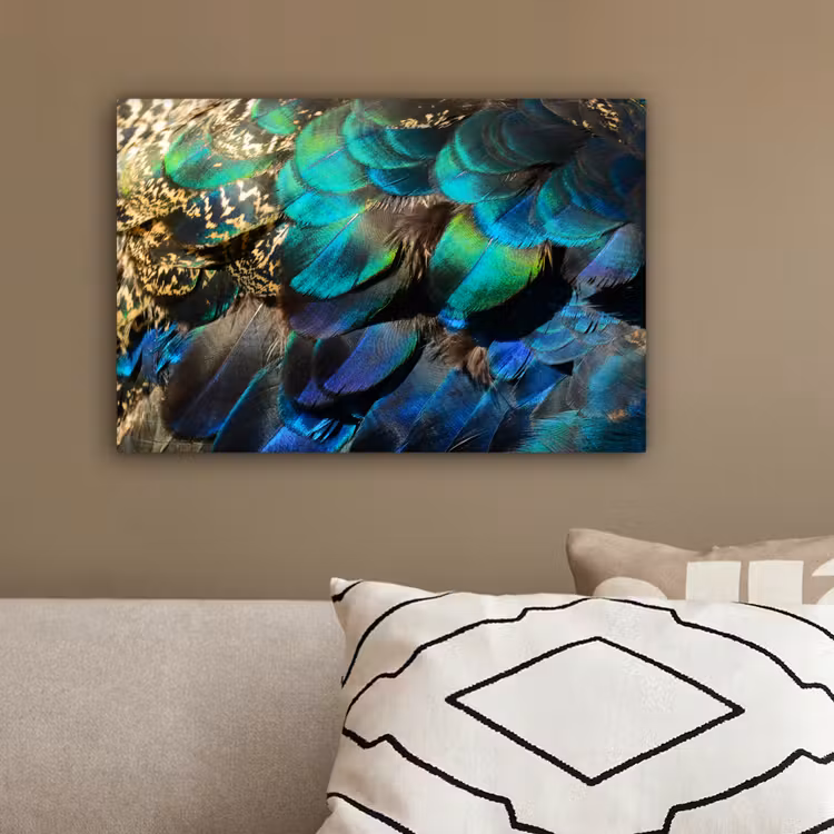 Veren - Pauwveren - Pauw - Blauw - Kunst canvas 2cm klein -sfeer3