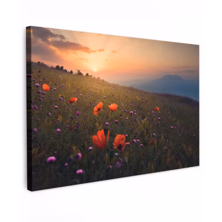 Bloemenveld - Gras - Bloemen - Planten - Zonsondergang - Oranje canvas 2cm klein -z3d