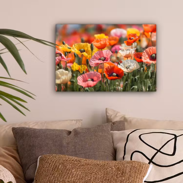 Bloemenveld - Klaprozen - Kleurrijk canvas 2cm klein -sfeer1