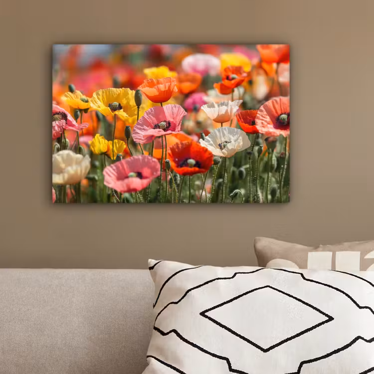 Bloemenveld - Klaprozen - Kleurrijk canvas 2cm klein -sfeer3