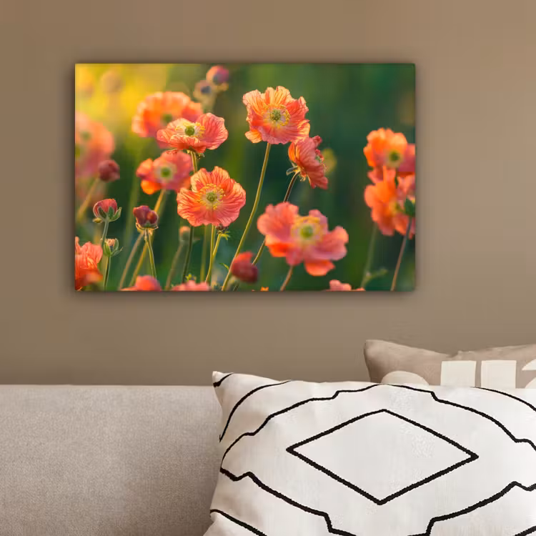 Bloemenveld - Zonnestralen - Oranje canvas 2cm klein -sfeer3