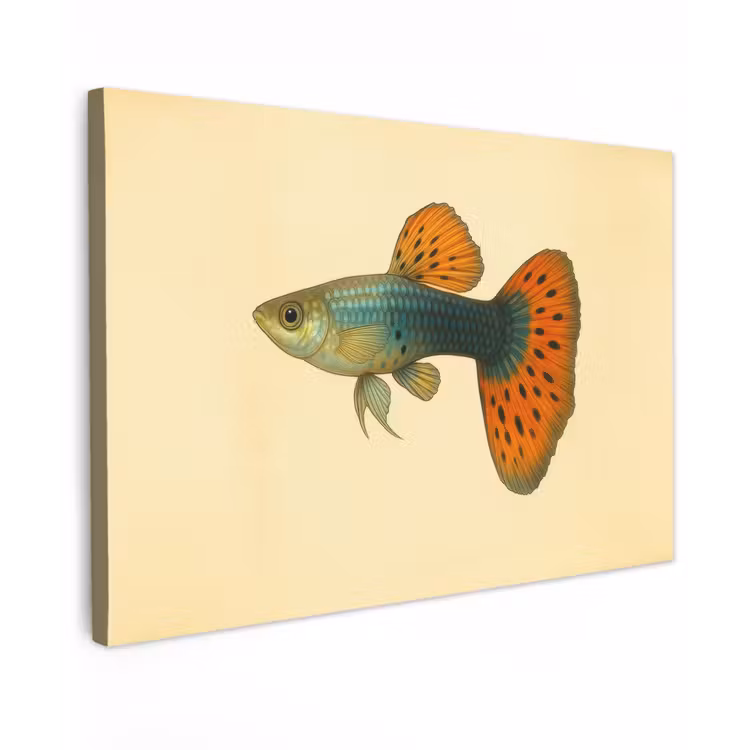 Vis - illustratie - Stippen - Oranje canvas 2cm klein -z3d