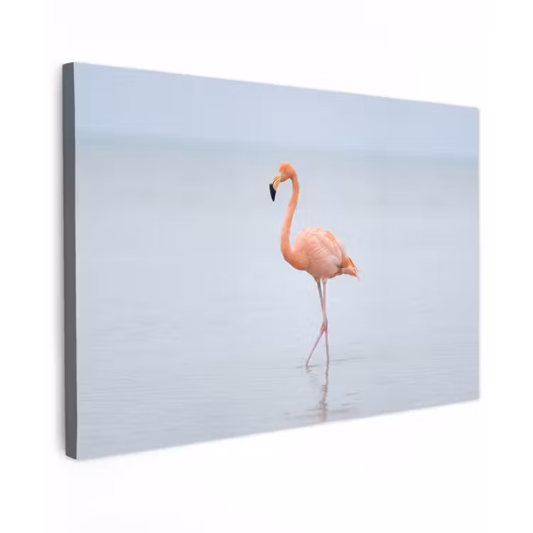 Flamingo - Zee - Roze canvas 2cm klein -z3d