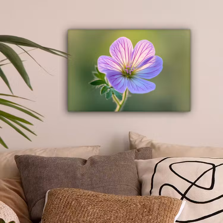 Bloem - Close up - Paars canvas 2cm klein -sfeer1