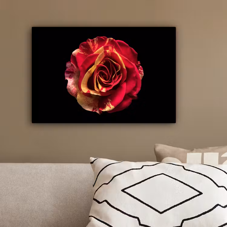 Bloem - Roos - Rood - Zwart canvas 2cm klein -sfeer3