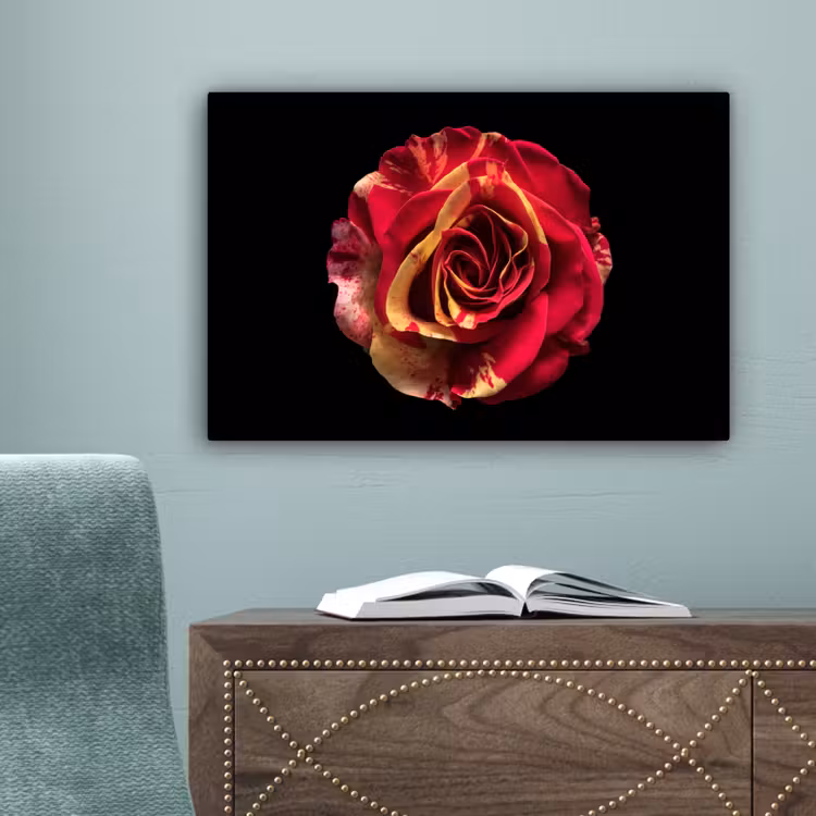 Bloem - Roos - Rood - Zwart canvas 2cm klein -sfeer4