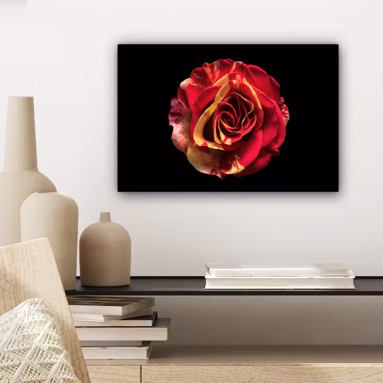 Bloem - Roos - Rood - Zwart canvas 2cm klein -sfeer6