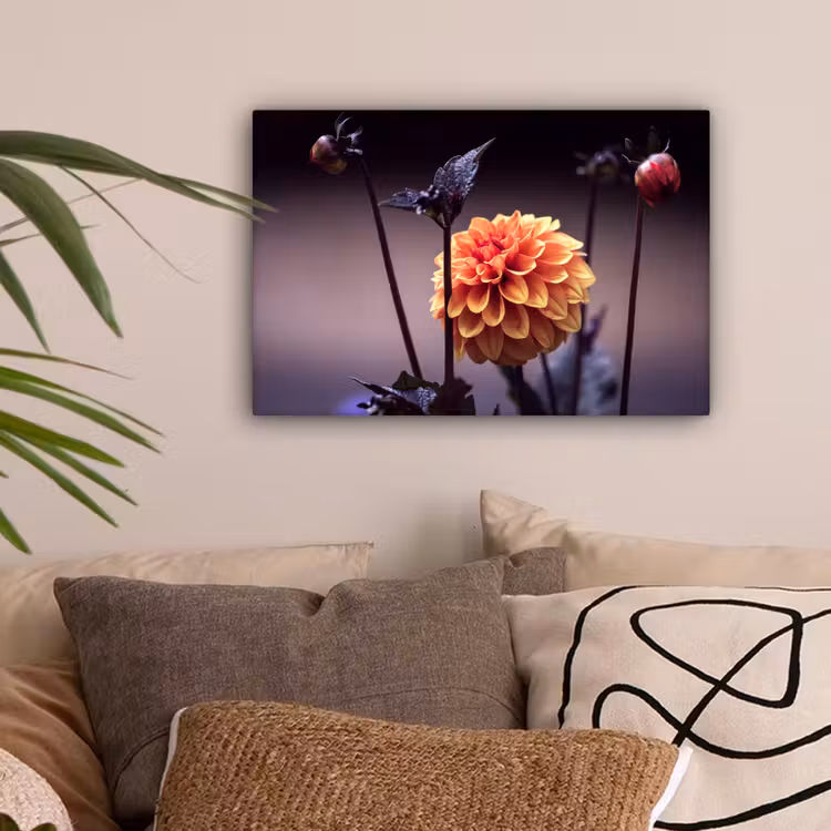 Bloemen - Chrysant - Macro - Planten canvas 2cm klein -sfeer1