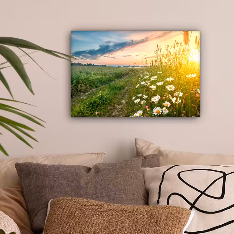 Bloemen - Madelief - Natuur - Zon - Horizon canvas 2cm klein -sfeer1