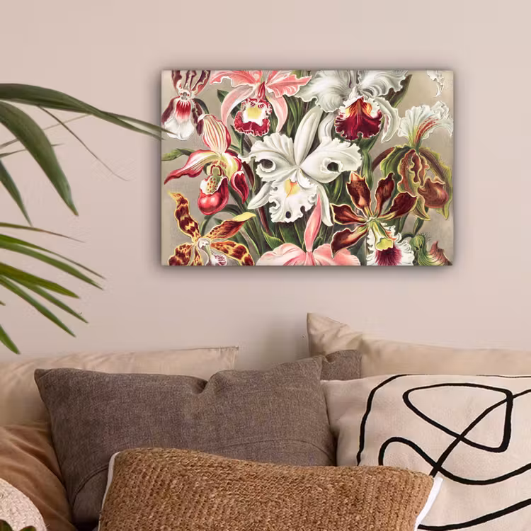 Bloemen - Ernst Haeckel - Vintage - Orchidee canvas 2cm klein -sfeer1