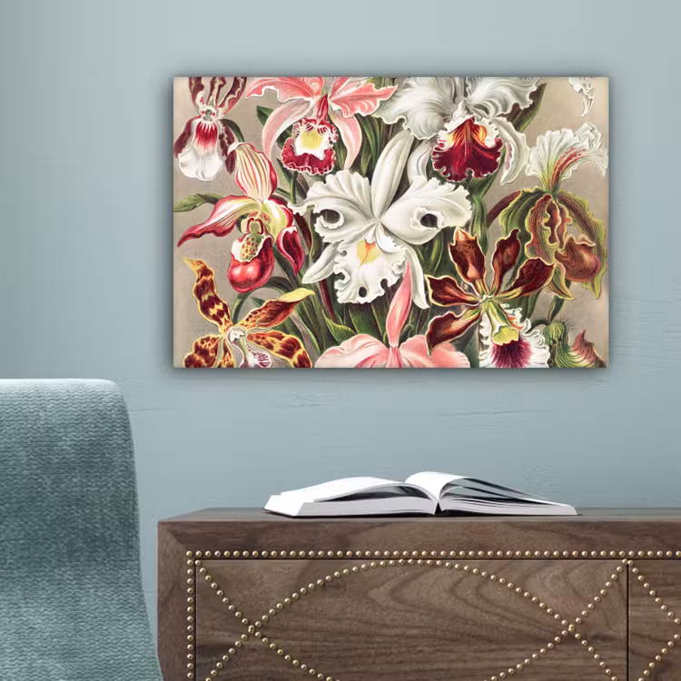Bloemen - Ernst Haeckel - Vintage - Orchidee canvas 2cm klein -sfeer4