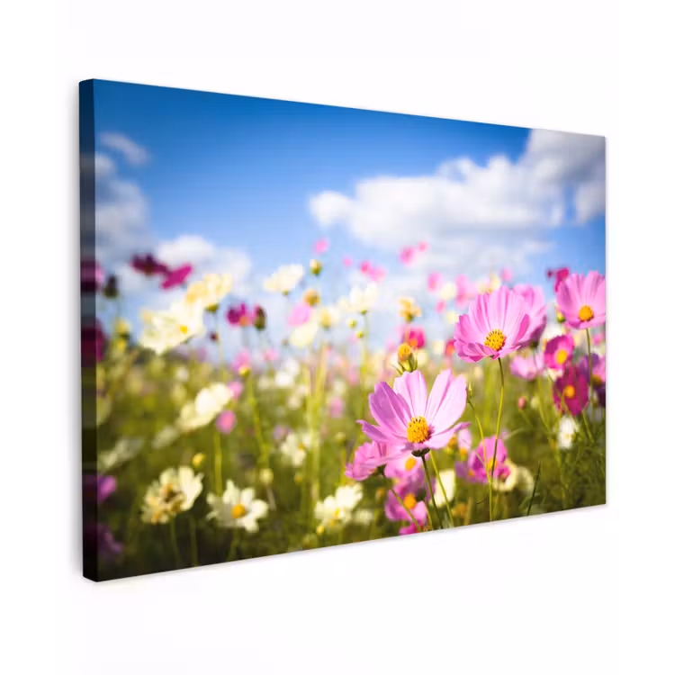 Bloemen - Wei - Paars - Gras - Wit - Wolken - Blauw canvas 2cm klein -z3d