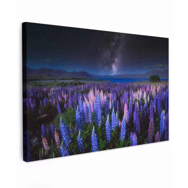 Bloemen - Nacht - Lupine - Sterrenhemel - Paars - Natuur canvas 2cm klein -z3d