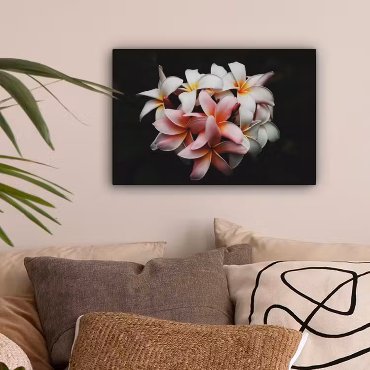 Bloemen - Roze - Zwart - Flora - Botanisch canvas 2cm klein -sfeer1