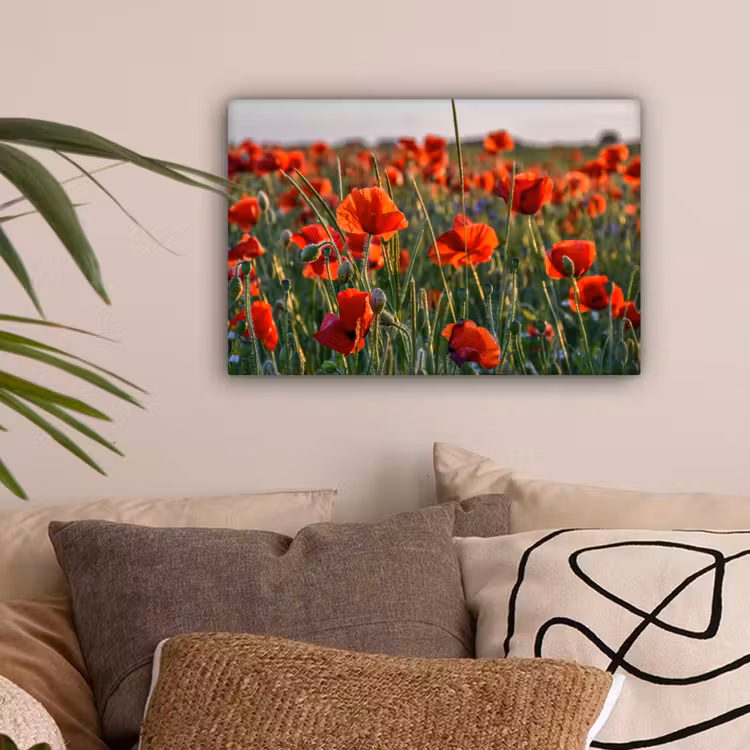 Bloemen - Klaprozen - Natuur - Rood canvas 2cm klein -sfeer1