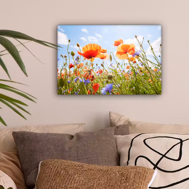 Bloemen - Klaproos - Lente - Natuur - Rood - Blauw canvas 2cm klein -sfeer1