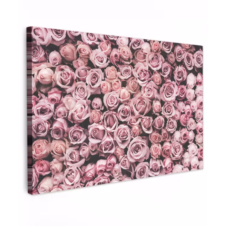 Bloemen - Rozen - Natuur - Roze - Botanisch canvas 2cm klein -z3d