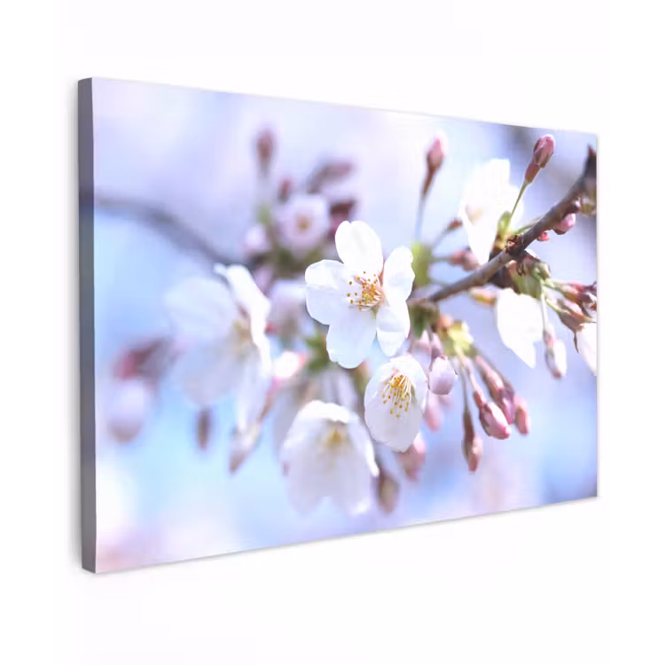 Bloemen - Sakura - Tak - Bloesem takken canvas 2cm klein -z3d