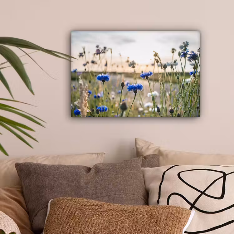 Bloemen - Zomer - Korenbloem - Blauw - Zon - Wolken canvas 2cm klein -sfeer1