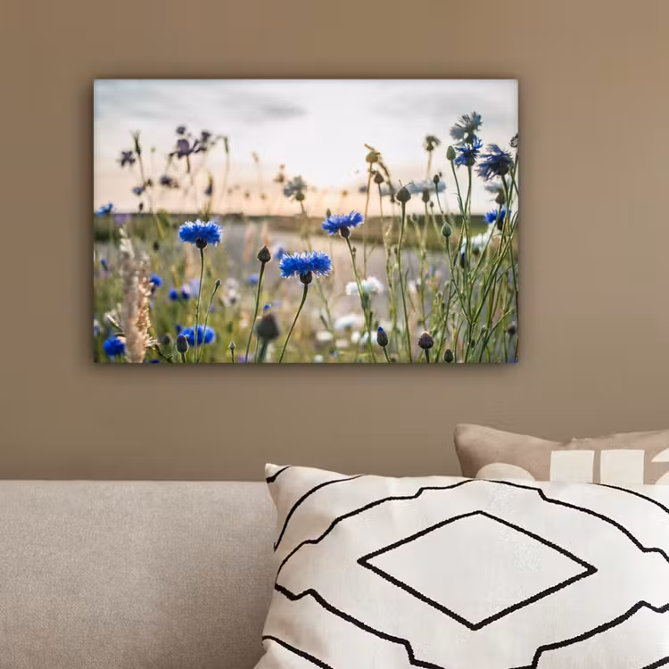 Bloemen - Zomer - Korenbloem - Blauw - Zon - Wolken canvas 2cm klein -sfeer3