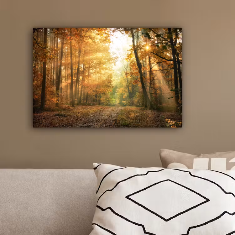 Bos - Herfst - Zon - Landschap - Natuur - Bomen - Bladeren canvas 2cm klein -sfeer3