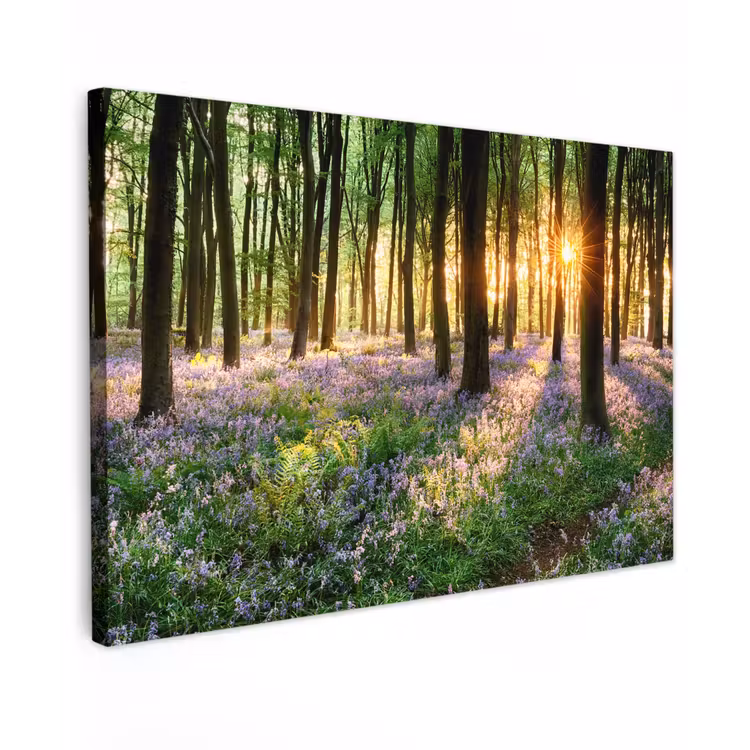 Bos - Bloemen - Lavendel - Zon - Paars - Natuur canvas 2cm klein -z3d
