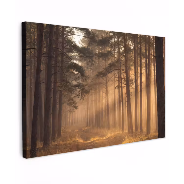Bos - Mist - Zonlicht canvas 2cm klein -z3d