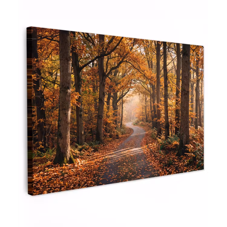 Bospad - Herfstbos - Bladeren - Oranje - Nostalgisch canvas 2cm klein -z3d