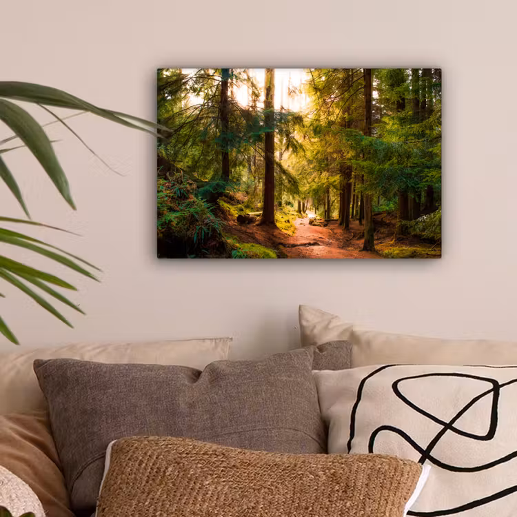 Bos - Pad - Bomen - Groen - Zon - Natuur canvas 2cm klein -sfeer1