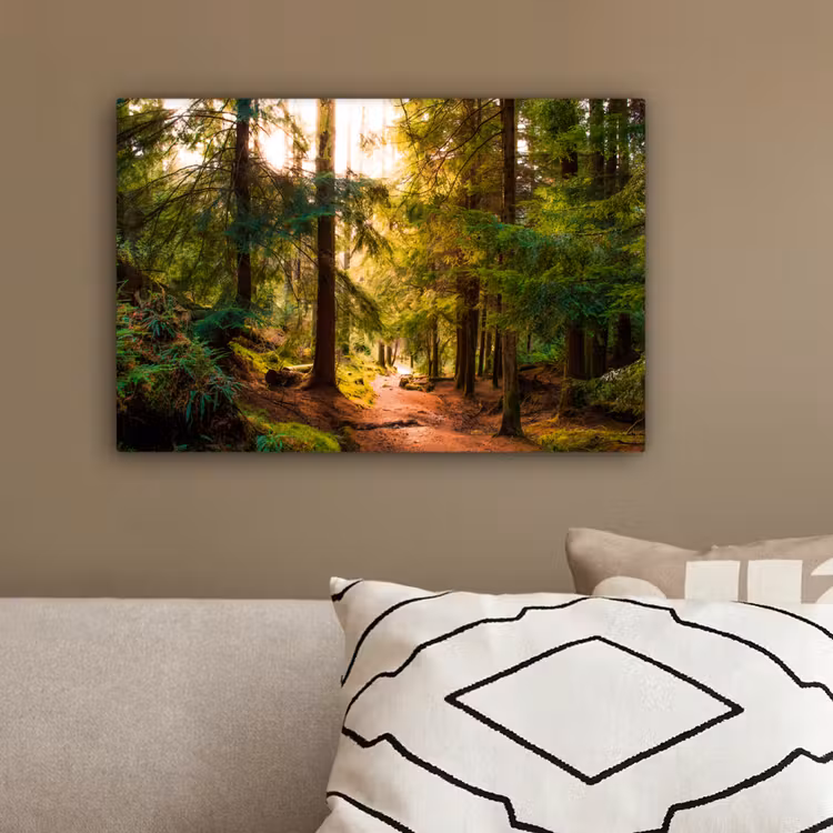 Bos - Pad - Bomen - Groen - Zon - Natuur canvas 2cm klein -sfeer3