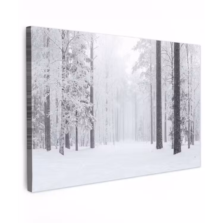Bos - Sneeuw - Pad - Winter - Stilte canvas 2cm klein -z3d