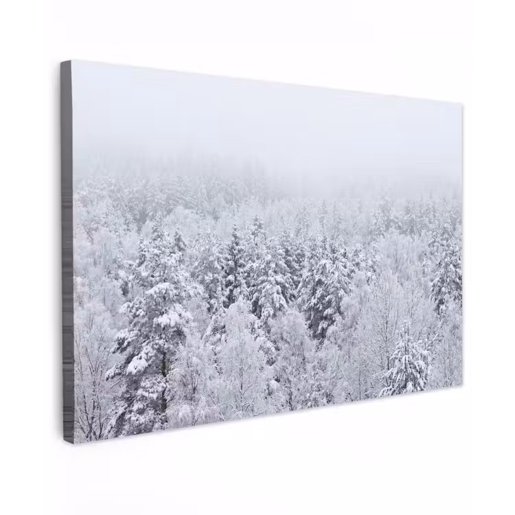 Bos - Sneeuw - Winter - Natuur - Wit canvas 2cm klein -z3d