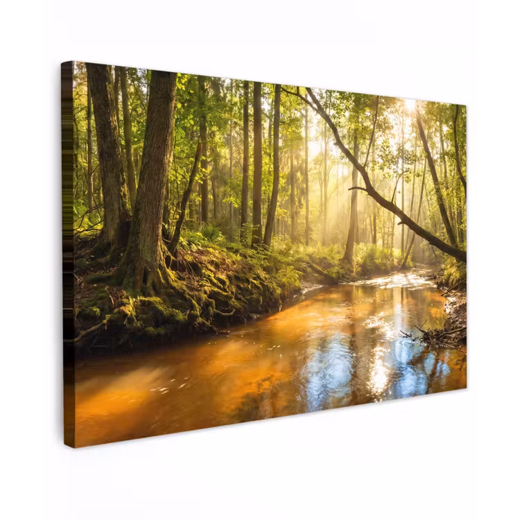 Bos - Beek - Zonlicht - Natuur - Groen canvas 2cm klein -z3d