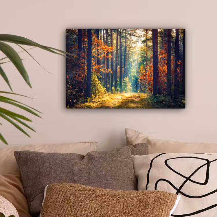 Bos - Zon - Natuur - Herfst canvas 2cm klein -sfeer1