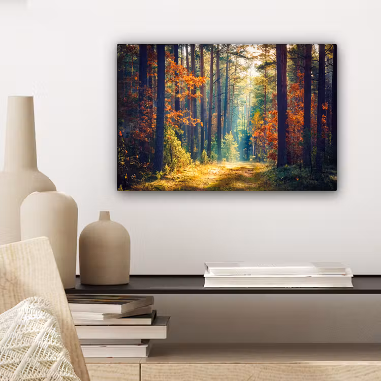 Bos - Zon - Natuur - Herfst canvas 2cm klein -sfeer6