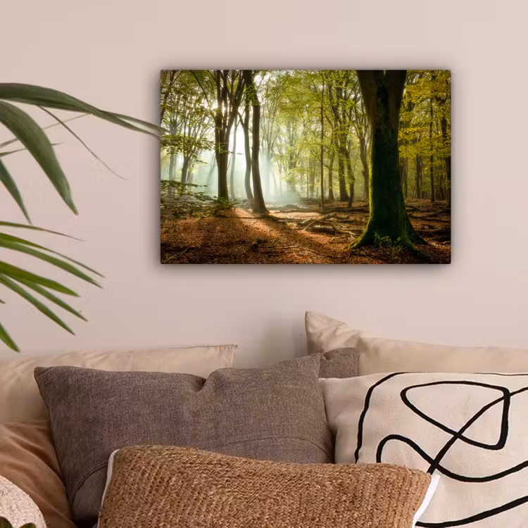 Bos - Zon - Seizoenen - Landschap canvas 2cm klein -sfeer1