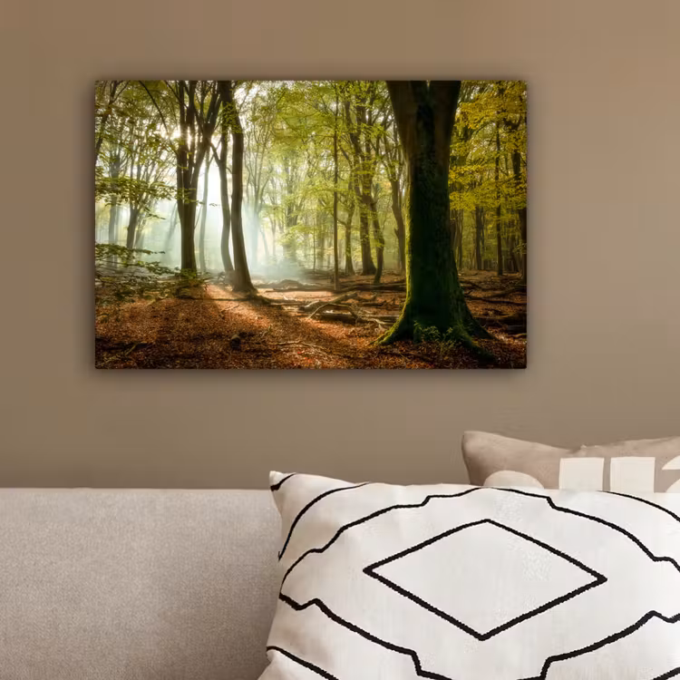 Bos - Zon - Seizoenen - Landschap canvas 2cm klein -sfeer3