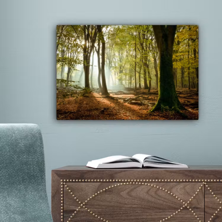 Bos - Zon - Seizoenen - Landschap canvas 2cm klein -sfeer4