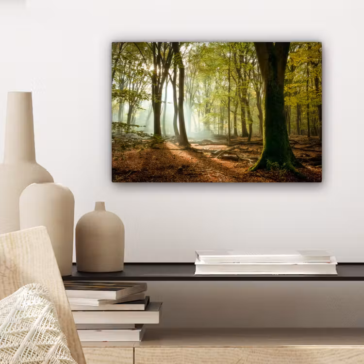 Bos - Zon - Seizoenen - Landschap canvas 2cm klein -sfeer6