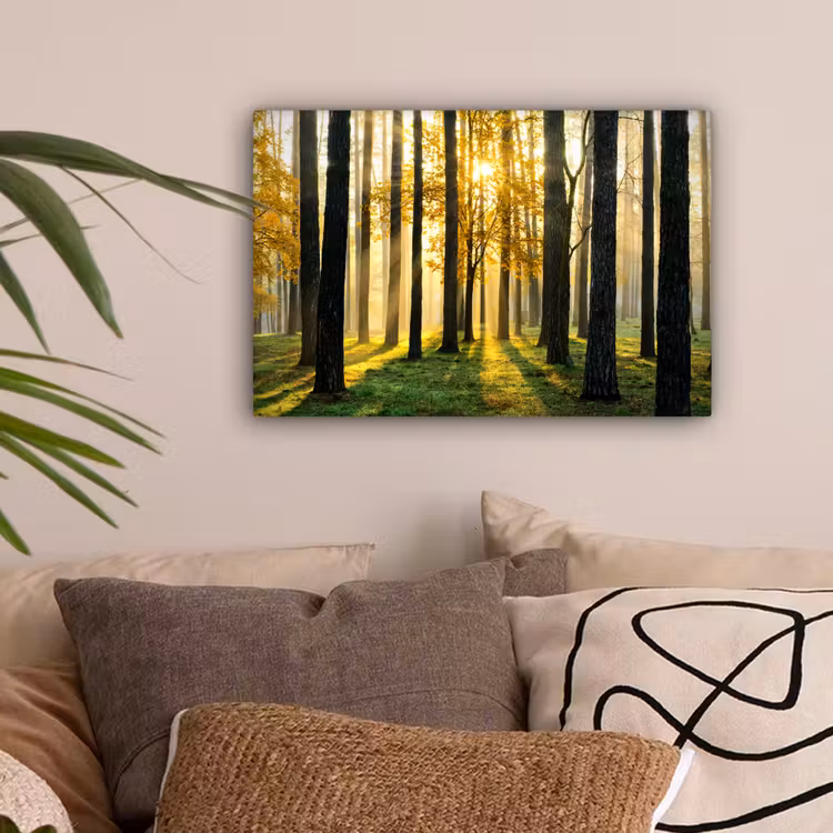 Bos - Zon - Bomen - Gras - Landschap - Natuur canvas 2cm klein -sfeer1