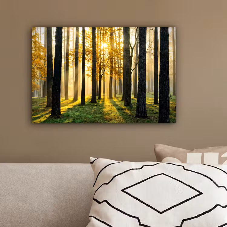 Bos - Zon - Bomen - Gras - Landschap - Natuur canvas 2cm klein -sfeer3