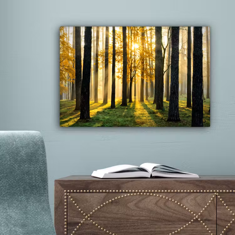 Bos - Zon - Bomen - Gras - Landschap - Natuur canvas 2cm klein -sfeer4