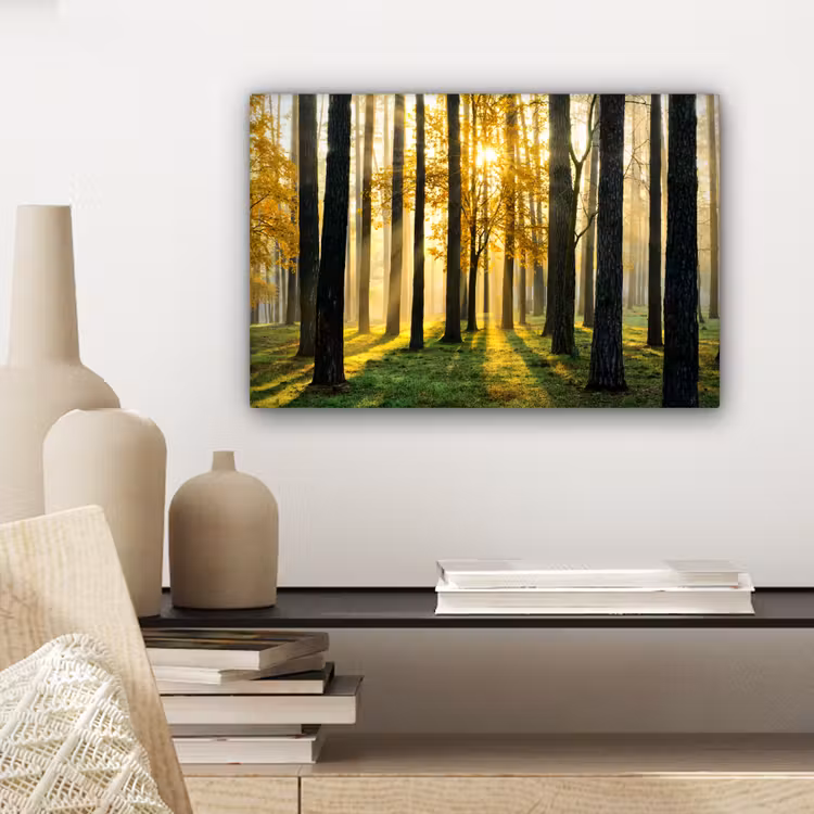 Bos - Zon - Bomen - Gras - Landschap - Natuur canvas 2cm klein -sfeer6