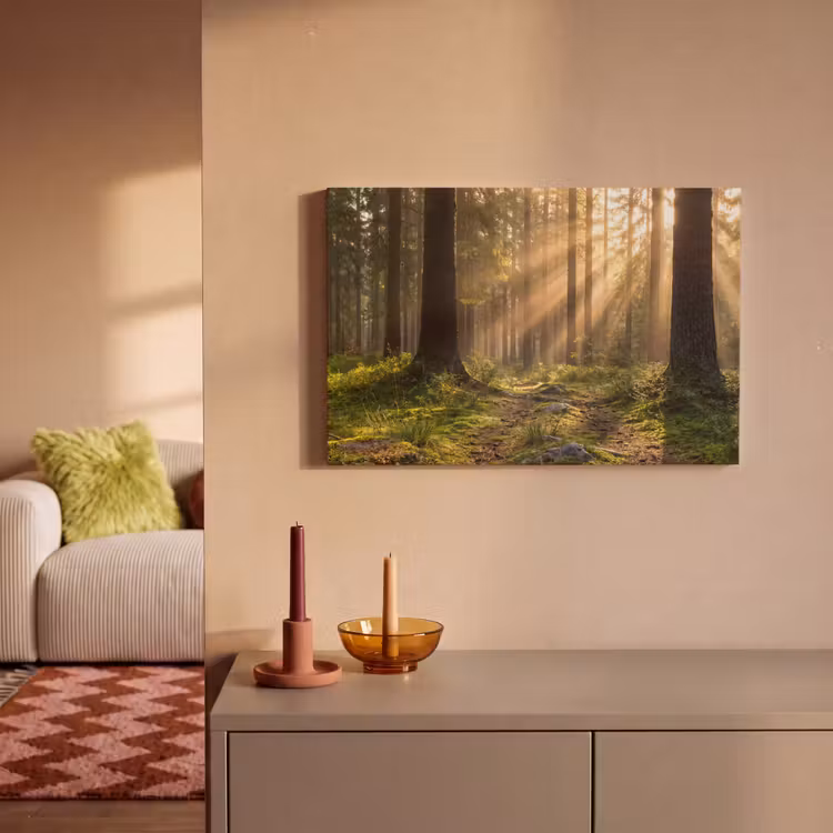 Bos - Zonlicht - Gras canvas 2cm klein -sfeer1