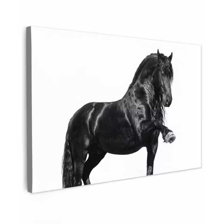 Fries - Hengst - Modern canvas 2cm klein -z3d