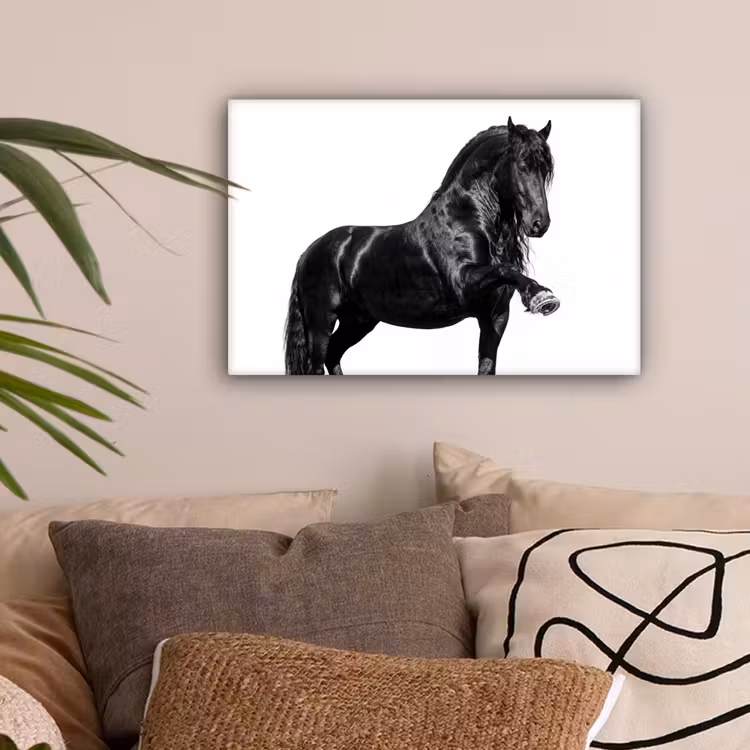Fries - Hengst - Modern canvas 2cm klein -sfeer1